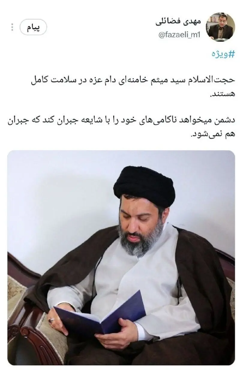 مهدی فضائلی