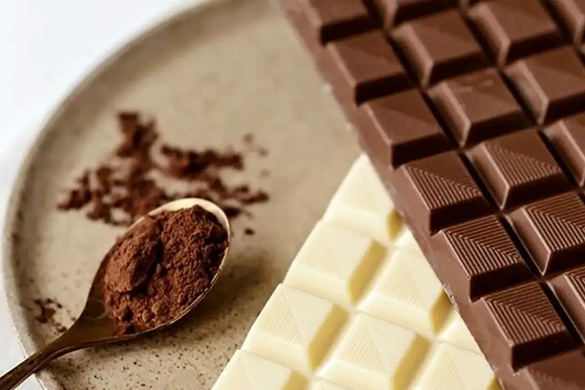  اگر زیاد می نشینید کاکائو بخورید!