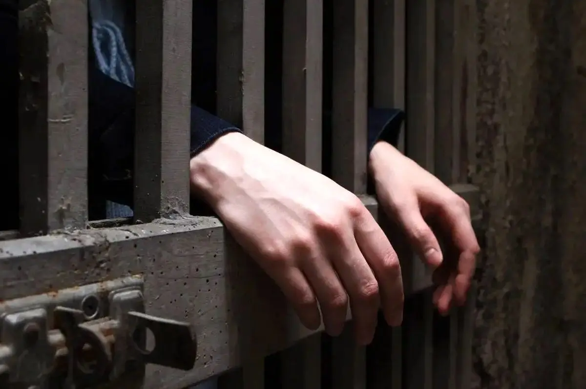 استرداد متهم کلاهبردار به کشور
