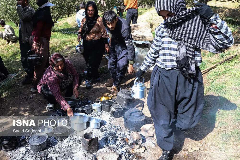 گالری