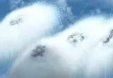 آزمایش یک سامانه دفاعی عجیب توسط ارتش چین