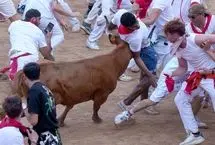 ببینید؛ ۷ نفر در دومین روز گاوبازی سن‌فرمین زخمی شدند