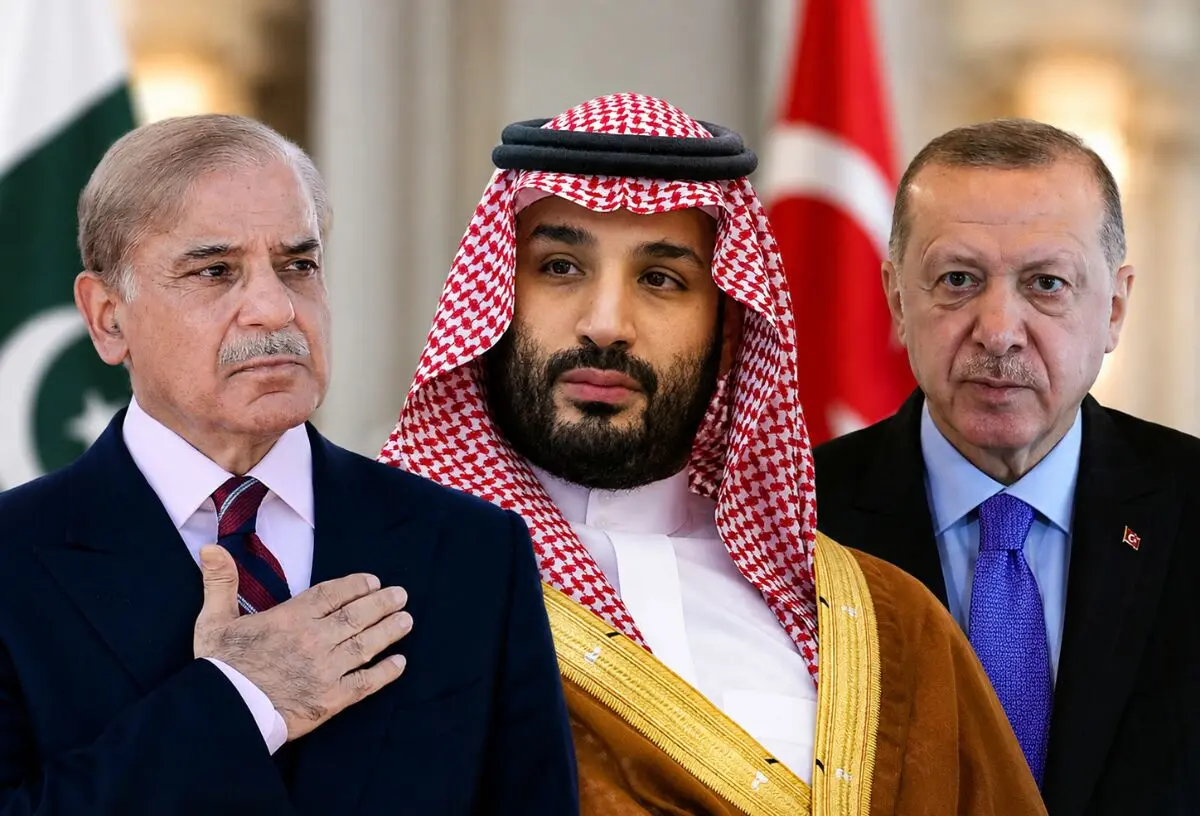 کیهان: اردوغان و شهباز شریف مثل روباه مکار و گربه نره بن‌سلمان را سرکیسه کردند!
