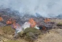 ویدئو؛ دهمین آتش‌سوزی میانکاله در یک ماه/ بالگرد برای مهار آتش به منطقه اعزام شد