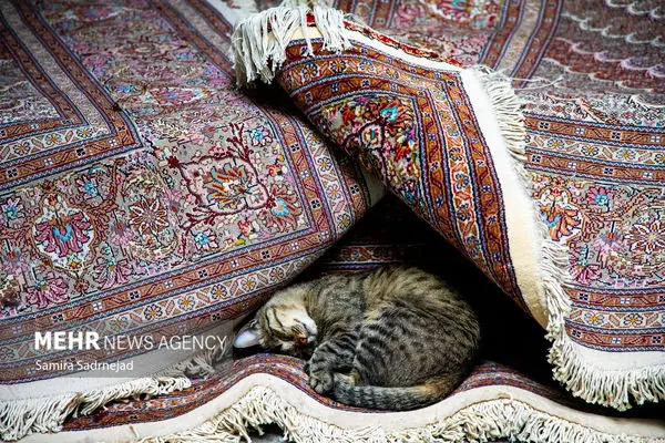 تصویر؛ حال و هوای بازار فرش تهران 