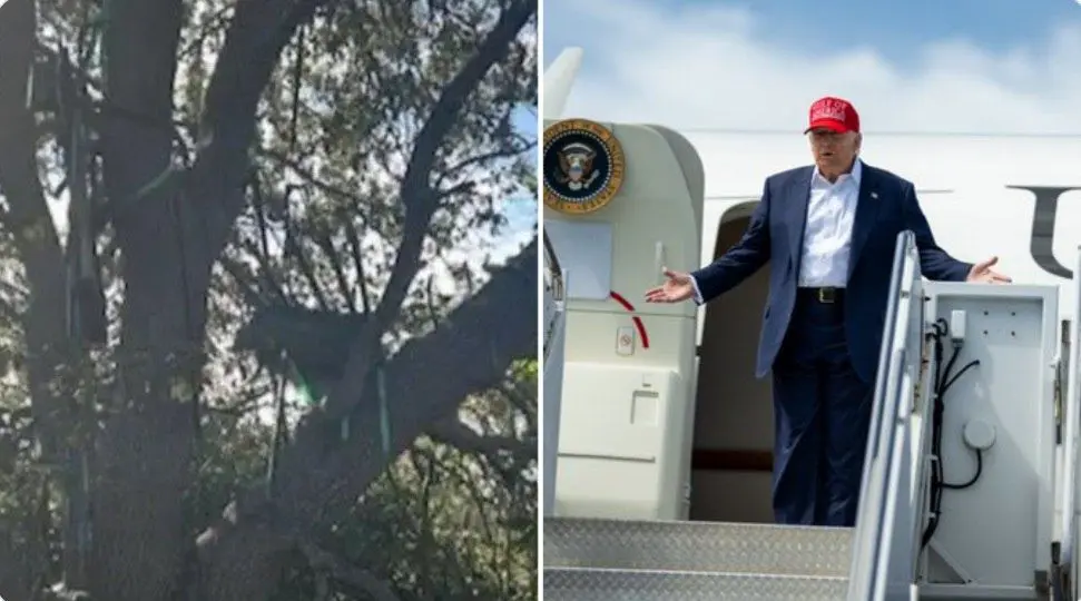  ترامپ قرار بود ترور شود؟