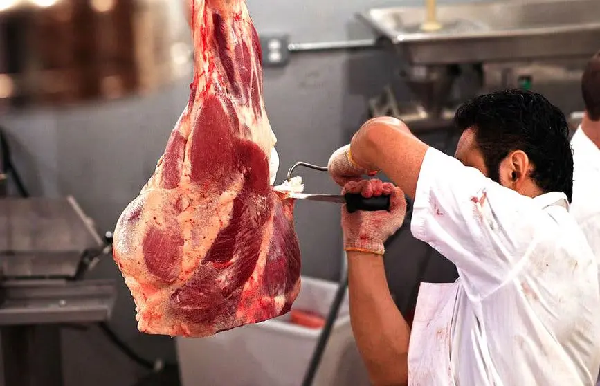  3 پرده از مشکل خزنده فقر پروتئین / چرا گرانی گوشت مهم است؟