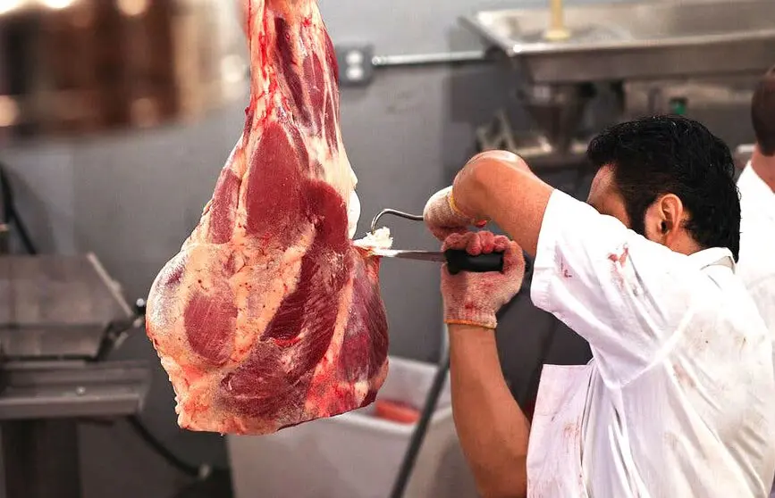  3 پرده از مشکل خزنده فقر پروتئین / چرا گرانی گوشت مهم است؟