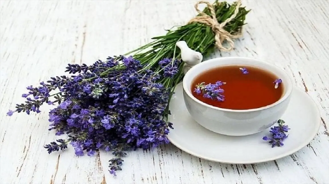 این داروی گیاهی فشار خون را کنترل می‌کند