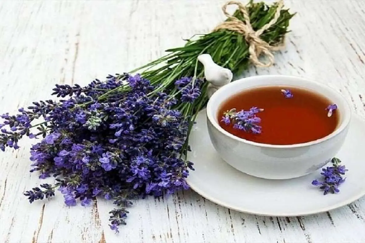 این داروی گیاهی فشار خون را کنترل میکند