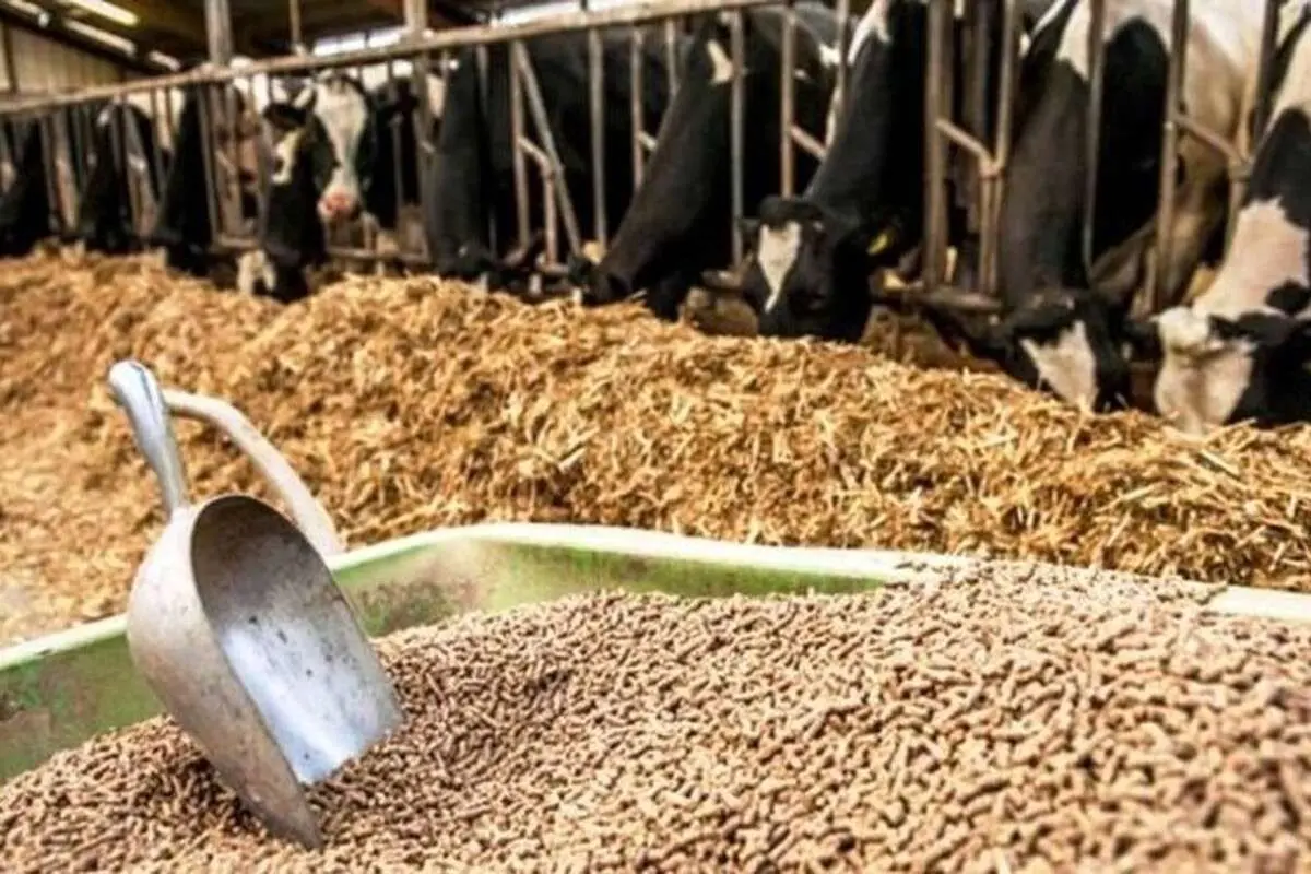 حمله فارس به سامانه جهاد کشاورزی/ کانون رانت ۴۰۰۰ میلیاردی 