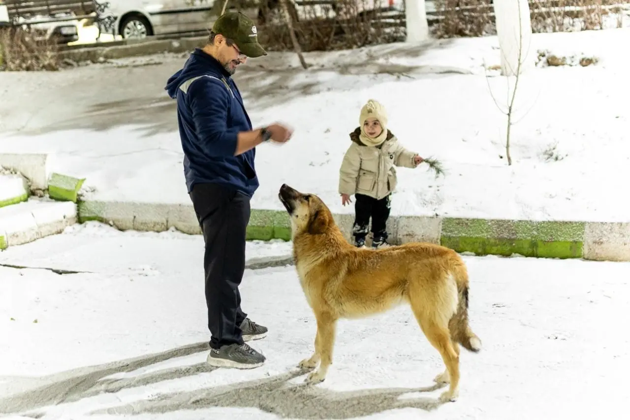 تصاویر؛ تن‌پوش سفید زمستان بر تن تبریز