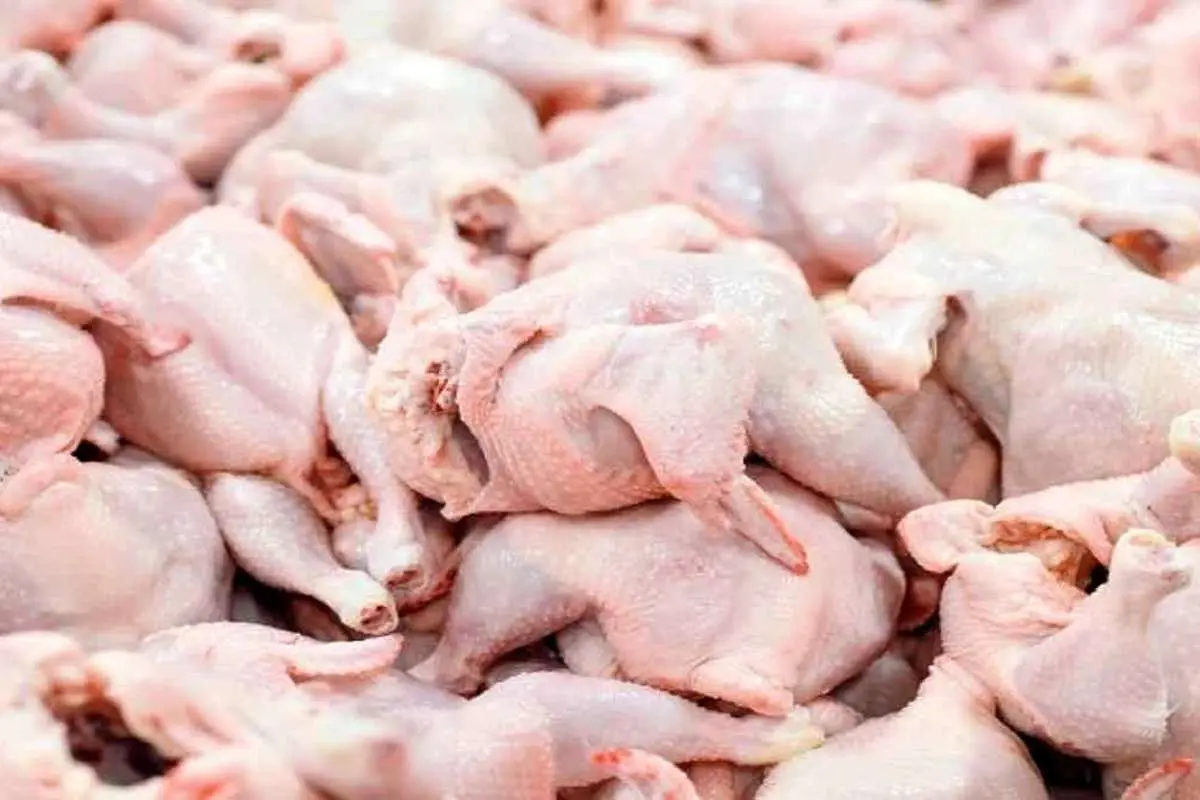 قیمت گوشت مرغ امروز ۲۲ خرداد ۱۴۰۴ ؛قیمت مرغ تنظیم بازاری چند شد؟