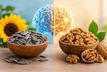 تاثیر گردو و تخمه آفتابگردان بر تقویت حافظه