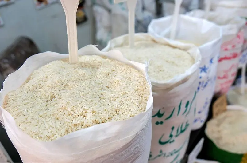 راز گرانی برنج مشخص شد