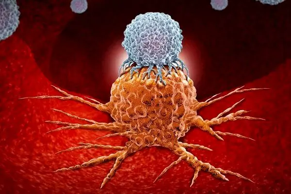 لحظه‌ حمله مخفیانه آنفلوانزا به سلول انسان