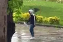 حمله یک کلاغ به رهگذران