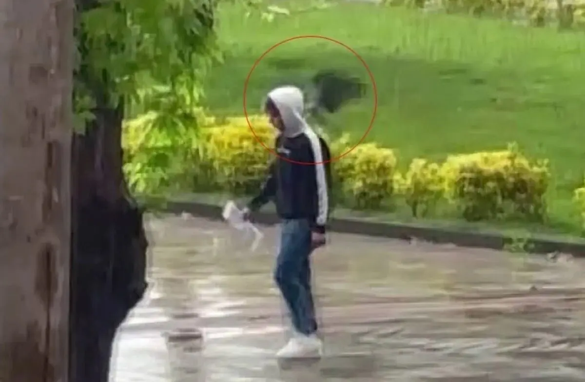 حمله یک کلاغ به رهگذران