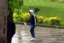 حمله یک کلاغ به رهگذران