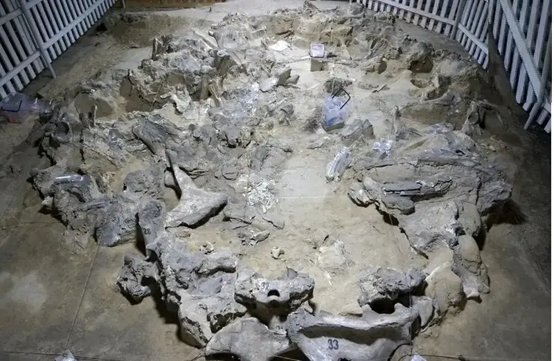 عصر یخبندان