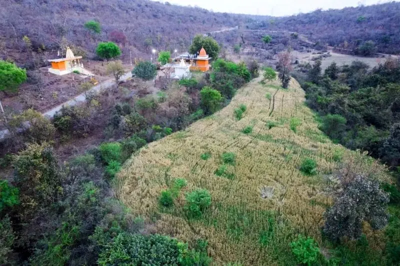 تصاویر حیات وحش ۲۰۲۵