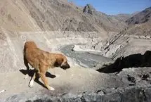 گزارش رسانه خارجی از بحران بی‌سابقه آب در ایران 