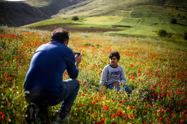 سفر یک‌روزه؛ نسخه‌ای سریع برای آرامش در زندگی شهری
