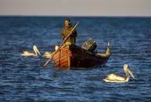 تصاویر؛ صید ماهی به روش پره در خزر