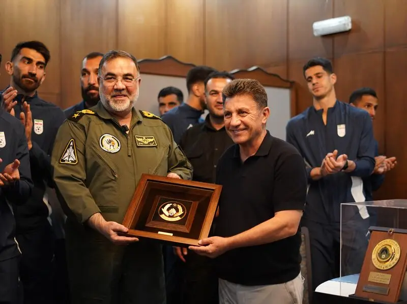 امیر قلعه‌نویی