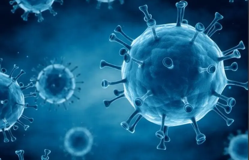 واقعیت‌های انتقال ویروس HPV از زبان مینو محرز