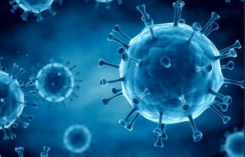 واقعیت‌های انتقال ویروس HPV از زبان مینو محرز