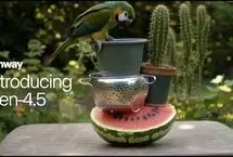 هوش مصنوعی ویدیوساز Runway Gen-4.5 به میدان آمد