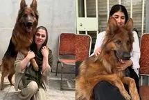 تیدا، سگ محبوب شبکه‌های اجتماعی و فیلم‌های سینمایی مُرد