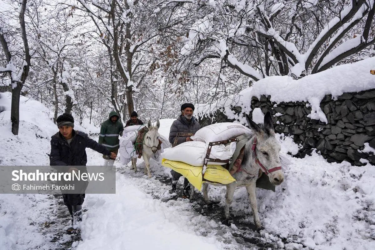 تصاویر؛ طبیعت زمستانی روستای کنگ 18