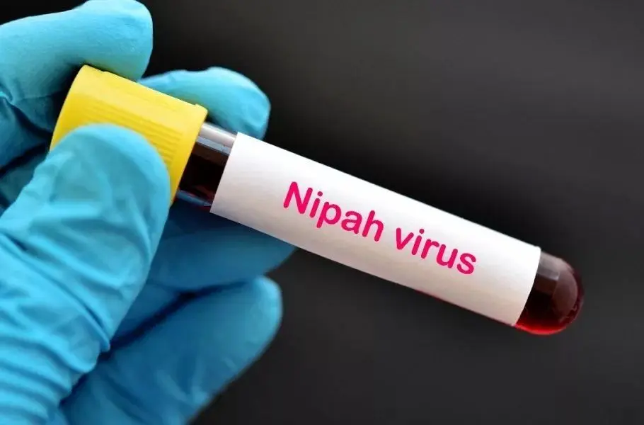 همه چیز درباره درباره ویروس خطرناک نیپا 