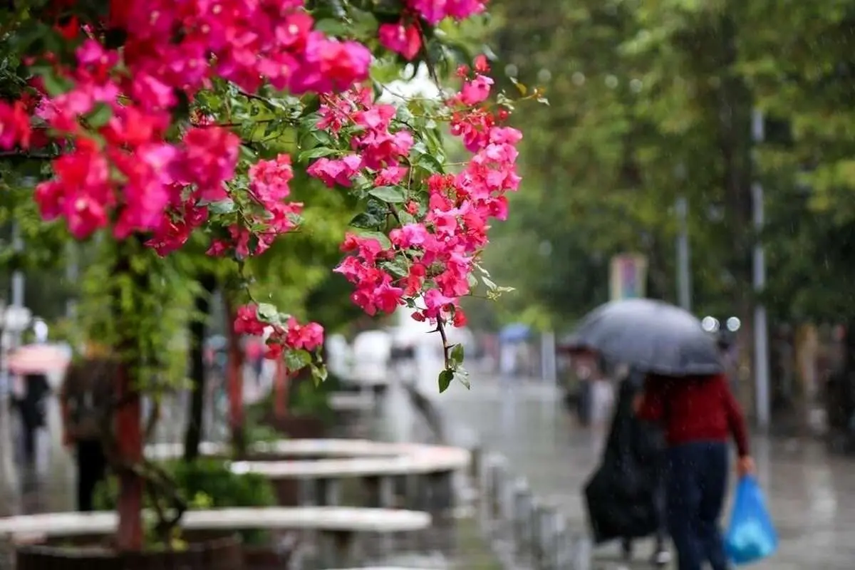تصاویر؛ بدرقه تابستان با بارش باران در رشت