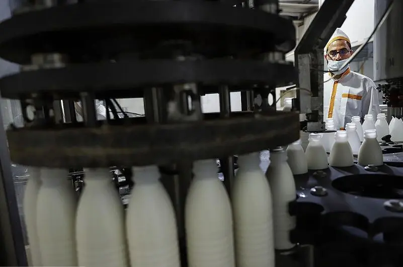 لبنیات 30 درصد گران شد