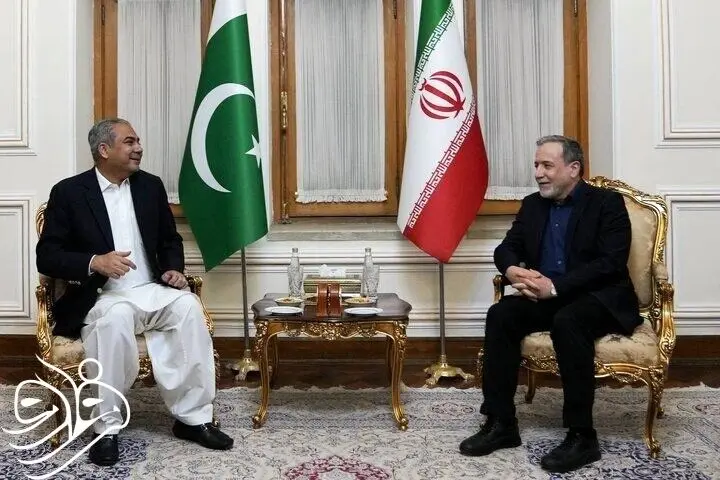 دیدار عراقچی با وزیر کشور پاکستان