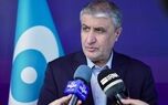 رییس سازمان انرژی اتمی ایران: هرگز متوقف نخواهیم شد