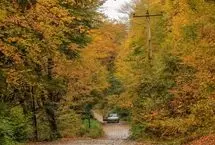 ورود گردشگران به جنگل‌های سوادکوه ممنوع شد/ علت چیست؟