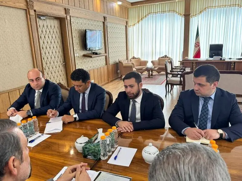 دیدار گوستانیان با سنایی