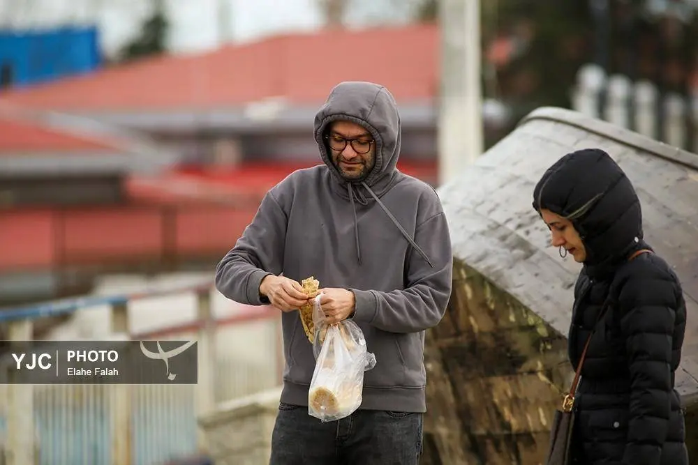 تصاویر؛ کاکایی‌ها؛ تماشایی‌ترین رفت‌وآمد زمستانی انزلی 4