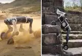 ببینید؛ سگ رباتیک همه‌جارو وارد می‌شود 