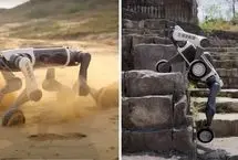 ببینید؛ سگ رباتیک همه‌جارو وارد می‌شود 