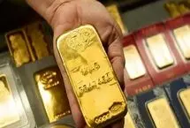 دانشمندان از خطرناک‌ترین سم جهان، طلا استخراج کردند!
