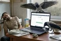 بلک فرایدی کلاغی/ این سایت‌ها مردم را مسخره کرده‌اند!
