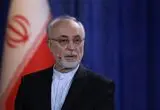 پیام قابل تامل رئیس بنیاد ایران‌شناسی در روز گرامیداشت حافظ