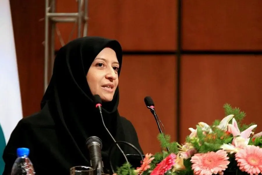 شینا انصاری: بخش زیادی از قوانین زیست محیطی اجرا نشده است