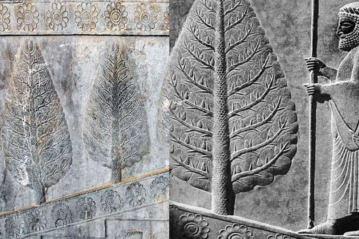 زمانی آلوده کردن این هوا شلاق داشت!