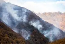 علت آتش‌سوزی در پارک ملی گلستان مشخص شد